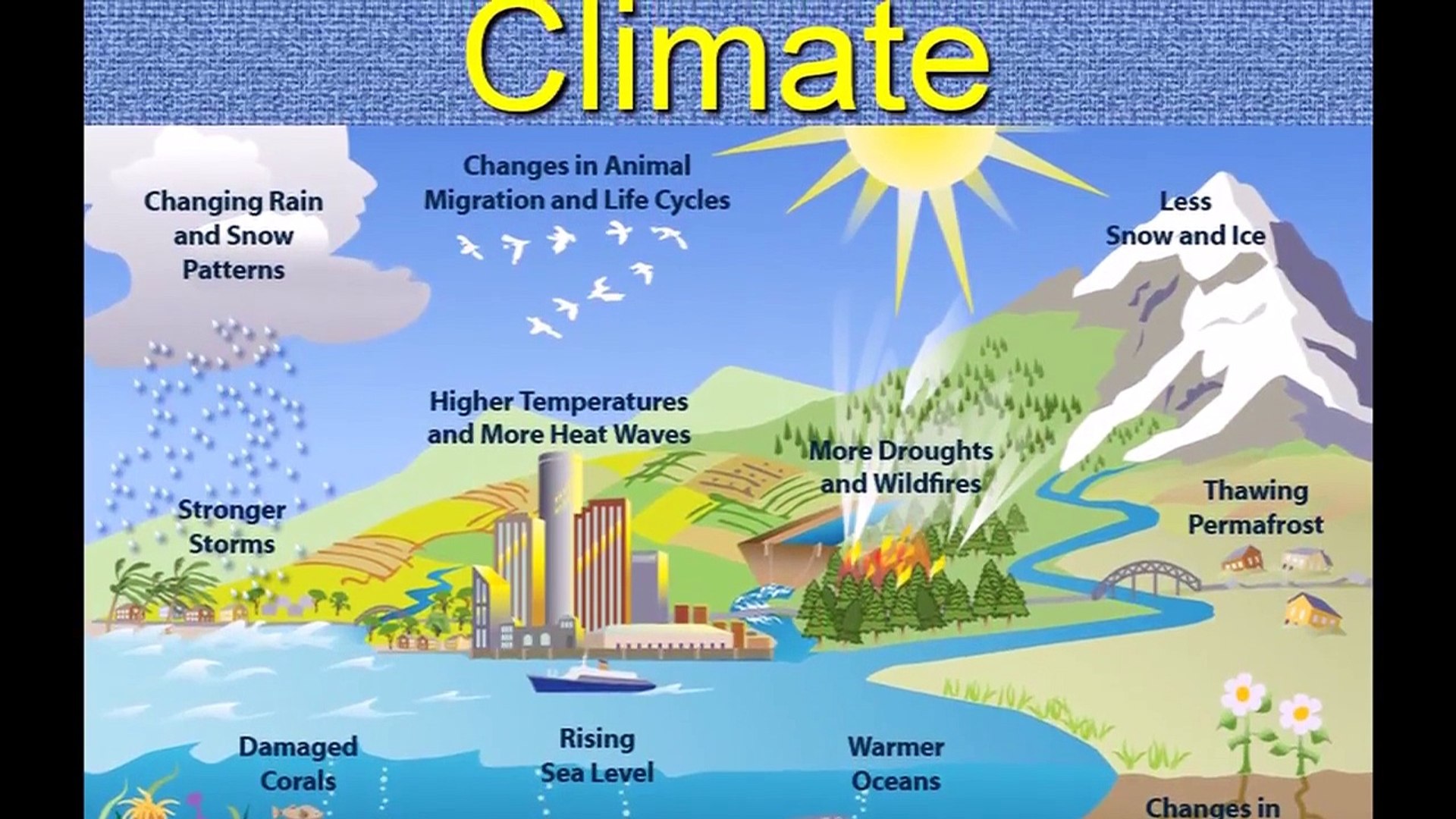 Weather, Climate and Adaptations of animals to Climate - video Dailymotion