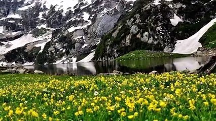 ---Kashmir ....  Ye Watan Tumhara Hai