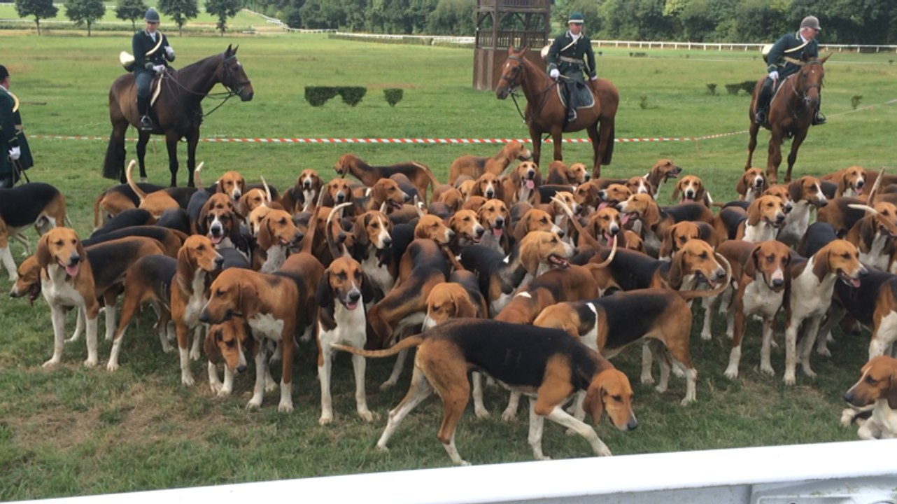 Fête de la chasse