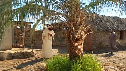 مسلسل القياضة 2 - الحلقة 25