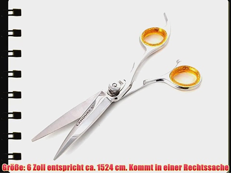 Professionell Haarschneideschere 6 Zoll Haarschere Friseur SchereProfi Friseurschere   Etuis