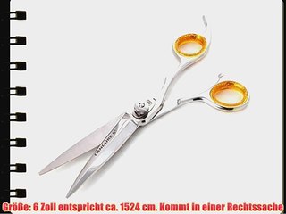 Professionell Haarschneideschere 6 Zoll Haarschere Friseur SchereProfi Friseurschere   Etuis