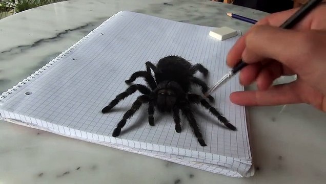 Watch Kids Freak Out at 3D Spider Drawing - Anamorphic 3D Illusion - Dailymotion-Video