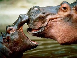 Las víctimas más injustamente perjudicadas