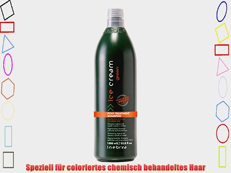 Inebrya Ice Cream Green Post -Treatment Shampoo 1000 ml - mit Keratin und Argan?l f?r coloriertes