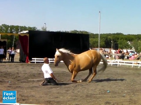 Chant'équi : spectacle de dressage équin à Briel-sur-Barse