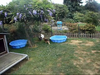 Honey, Indra et Jude