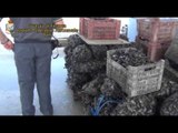 Taranto - Gdf, sequestrate tre tonnellate di prodotti ittici (11.07.15)
