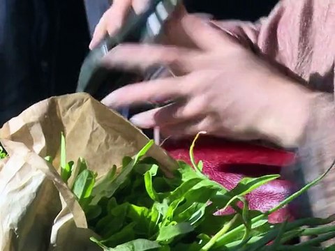 Electrohypersensibles: sous le feu des ondes, ils fuient le monde