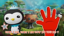 The Octonauts Finger Family Nursery Rhymes songs For Kids & Children