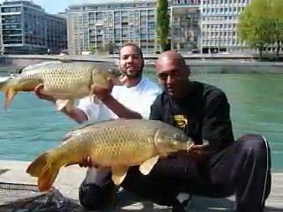 carp fishing paris (cold as ice) peche de la carpe a paris