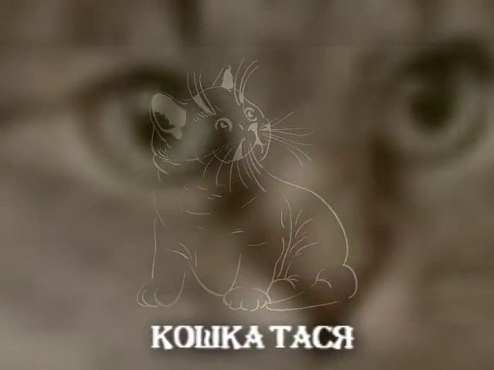 кошка ест салат