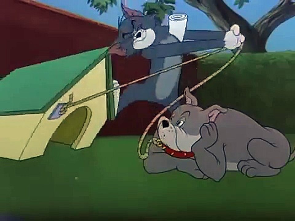 Tom and Jerry - Leash Law