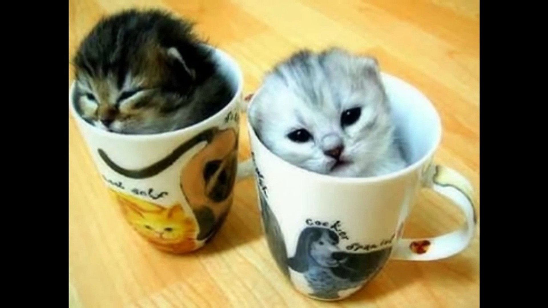 Lindos Bebés Recién Nacidos Es fondo de pantalla del teléfono | Pxfuel, image size:1920x1080