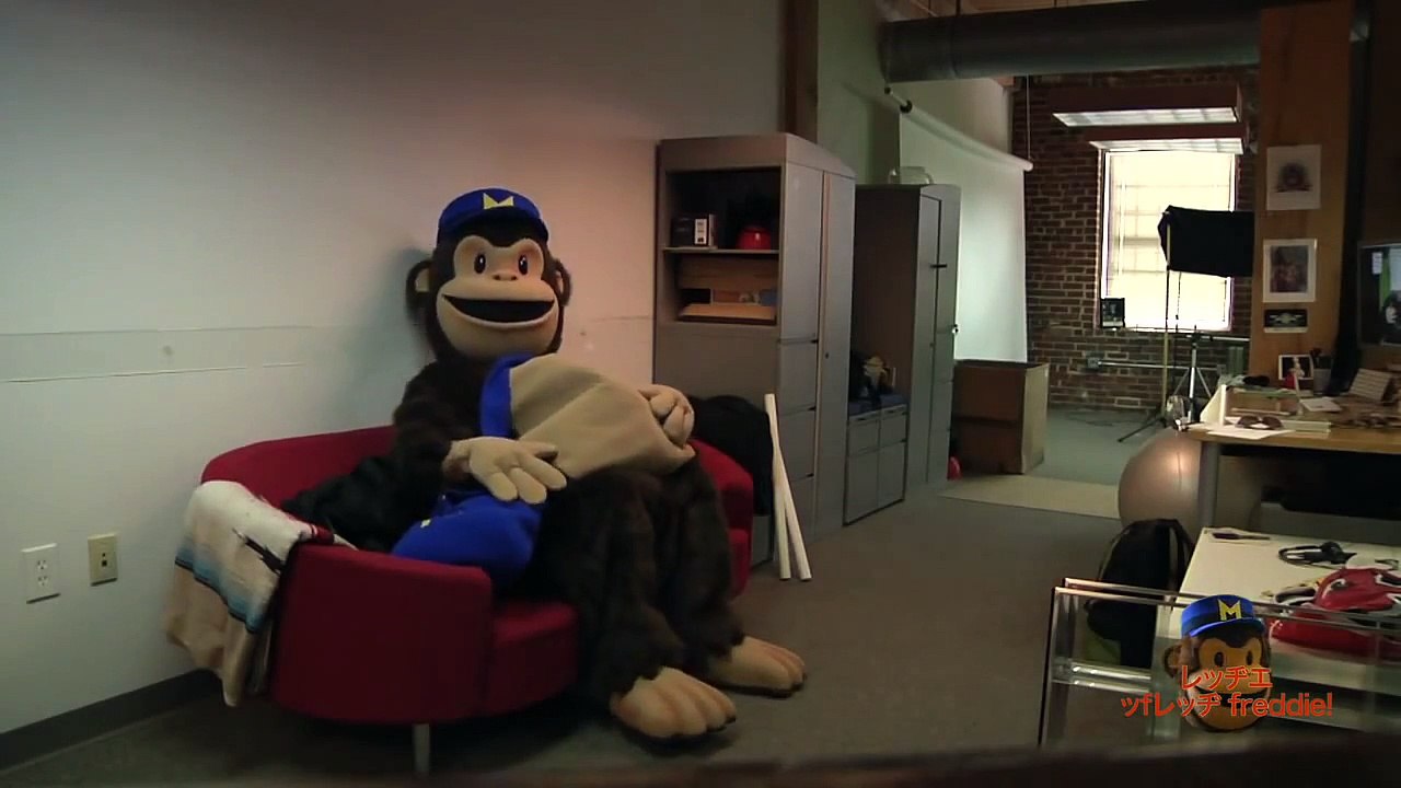 MailChimp Freddie Big Hidden Camera Crazy Time!