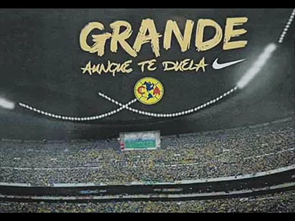 Tragos de Amargo Licor