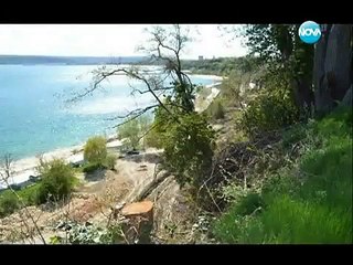 Алея Първа - пребит активист във Варна