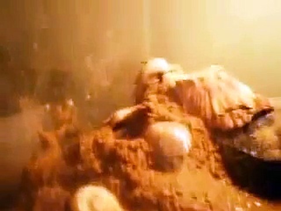 Proper way to set up Fiddler Crabs