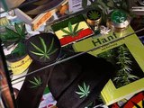 Die Bekiffte Republik - Cannabis: Illegal, Legal, egal? P.3