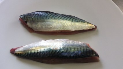 Recette facile de rillettes de maquereaux