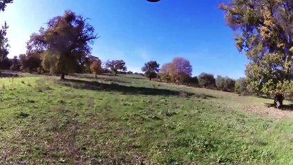 Caccia ai tordi in Calabria