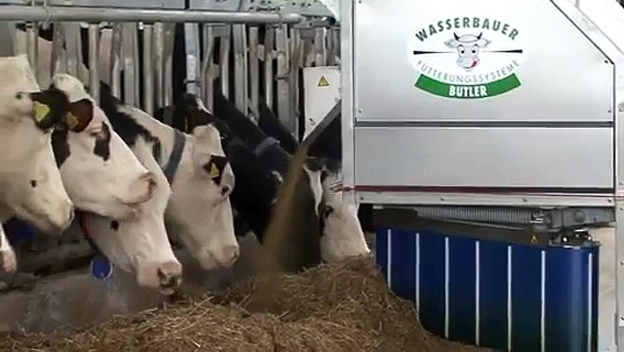 Wasserbauer Butler mit Lockeffekt