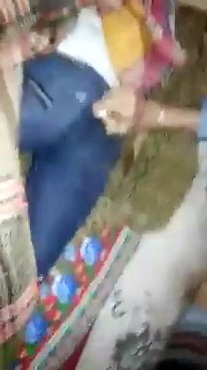 fani clip