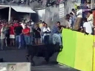 Bull Fights: Tradition and Controversy