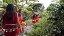 Global Ideas: Perú - Plantaciones de café para proteger la selva | Global 3000