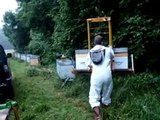 Transhumance Criquet palettes de 3 ruches