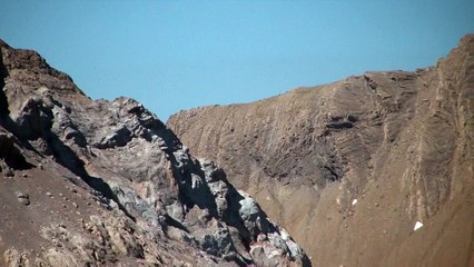 Vautour fauve au Glacier des Gabiétous (Gavarnie/Gèdre)