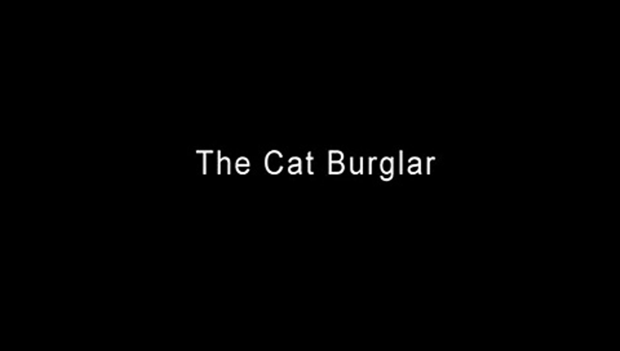 Clever Cat Burglar