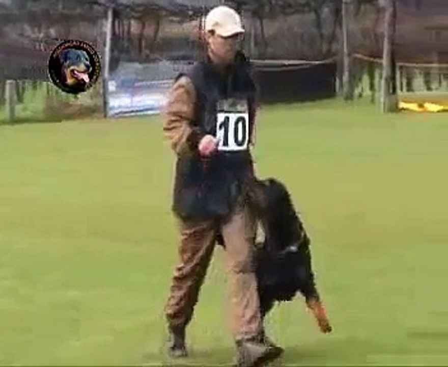 Arty - RCI I (working trial - Prueba de Trabajo)