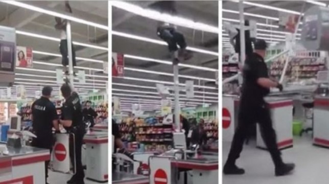 Genius Shoplifter Tries To Climb Away From Cops