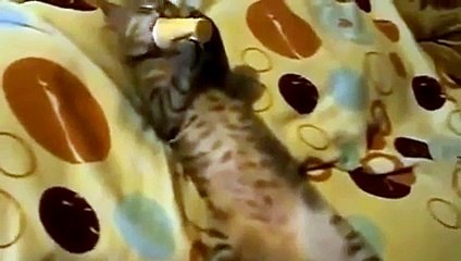 Yatakta dondurma keyfi