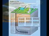 Fracking - Explained In Two Minutes