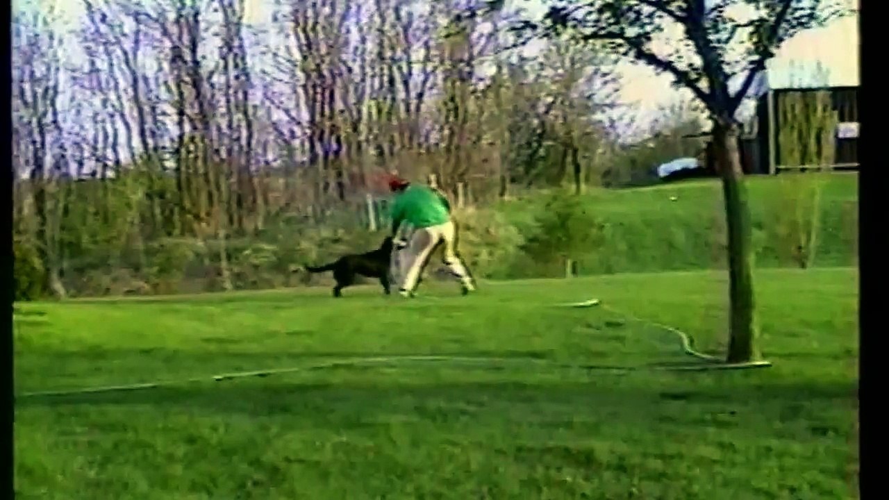 Un chien arrose son maître avec un arrosoir de jardin