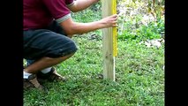 5.   Installing Wooden Deer Fence Posts and Using Trees