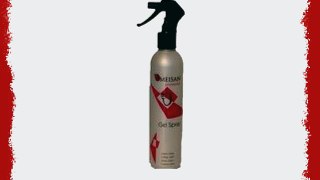 Omeisan Gel Spray 1 Liter Nachf?llflasche ohne Treibgas