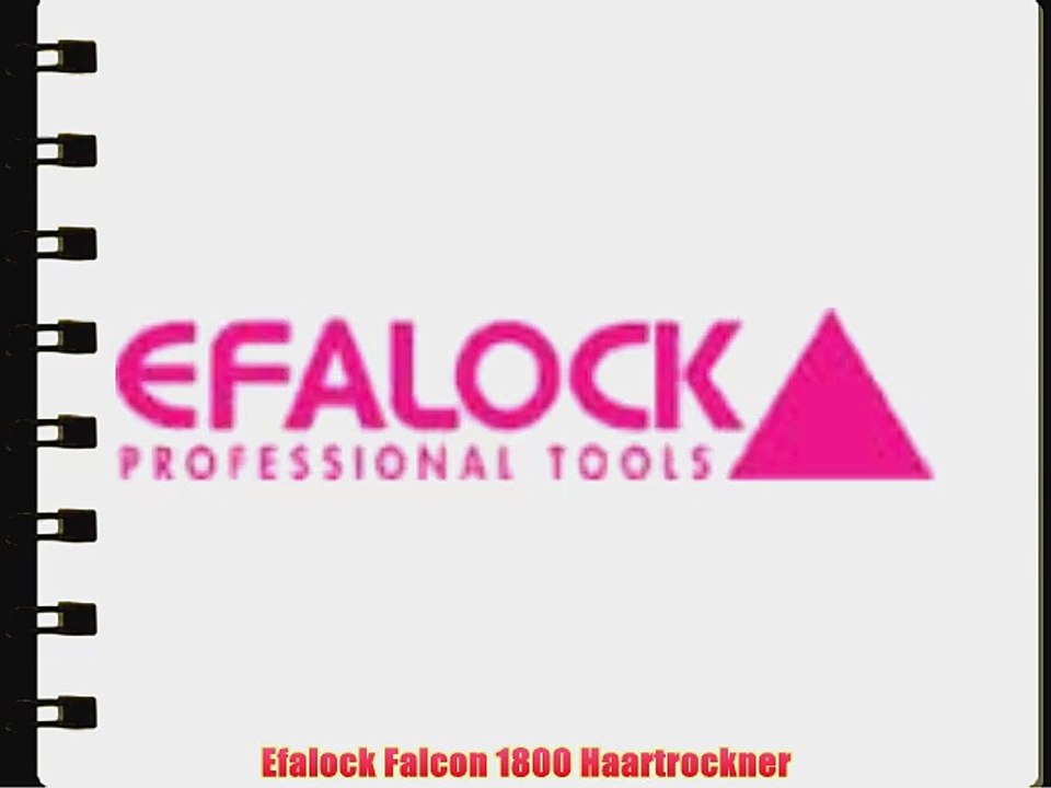 Efalock Falcon 1800 Haartrockner