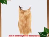 Halo 20 inch Honey Blonde Hair Extensions