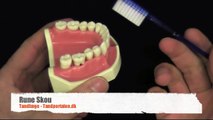 Børst tænder korrekt