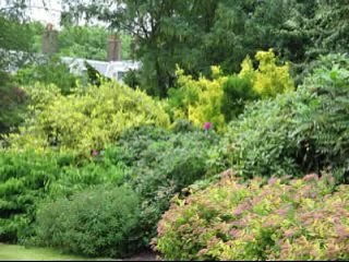 DAY OF PANIC - Sermon By Pastor Dr David Jeremiah