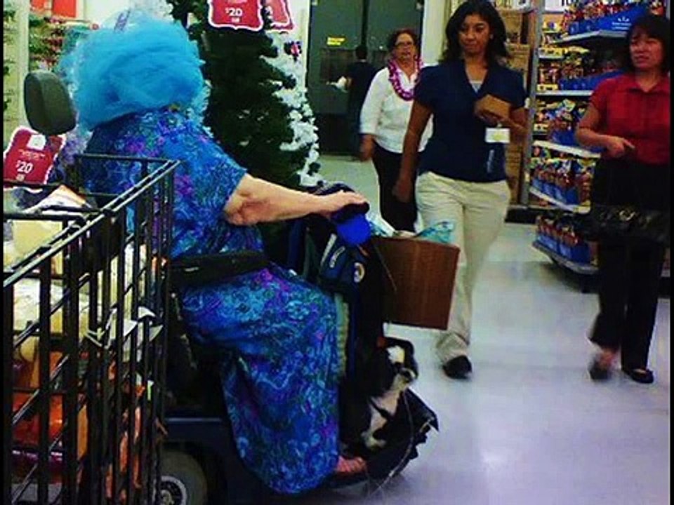 Poorly Dressed People Of Walmart, Shopping at Walmart ( ALL NEW )