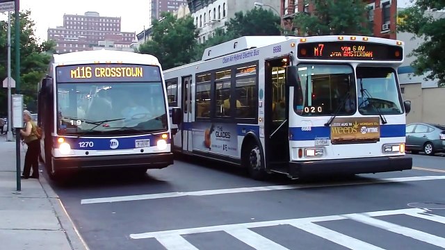 MTA NYC Bus EXCLUSIVE: 2010 Nova-LFS Artic M116 Bus #1270 in Harlem E116th St.