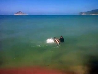 مواطنون يصطادون سمكة قرش كبيرة في رفراف من دون استعمال وسائل حماية