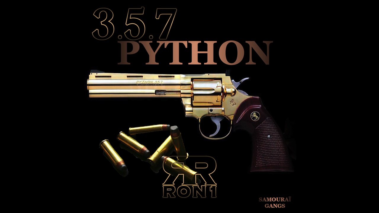 RON 1 _ 357 _ PYTHON