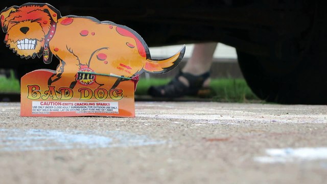This Firework Looks Like A Dog Is Pooping On Your Lawn