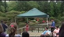 Children's Day at the Japanese Garden in Seattle