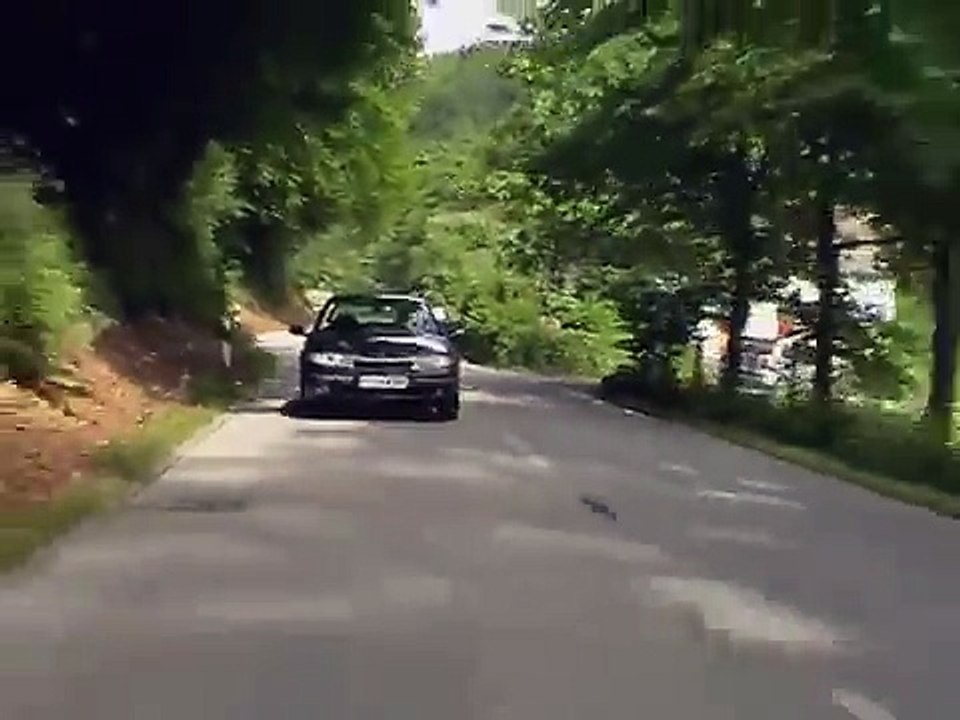 Laguna V6 und Laguna Turbo